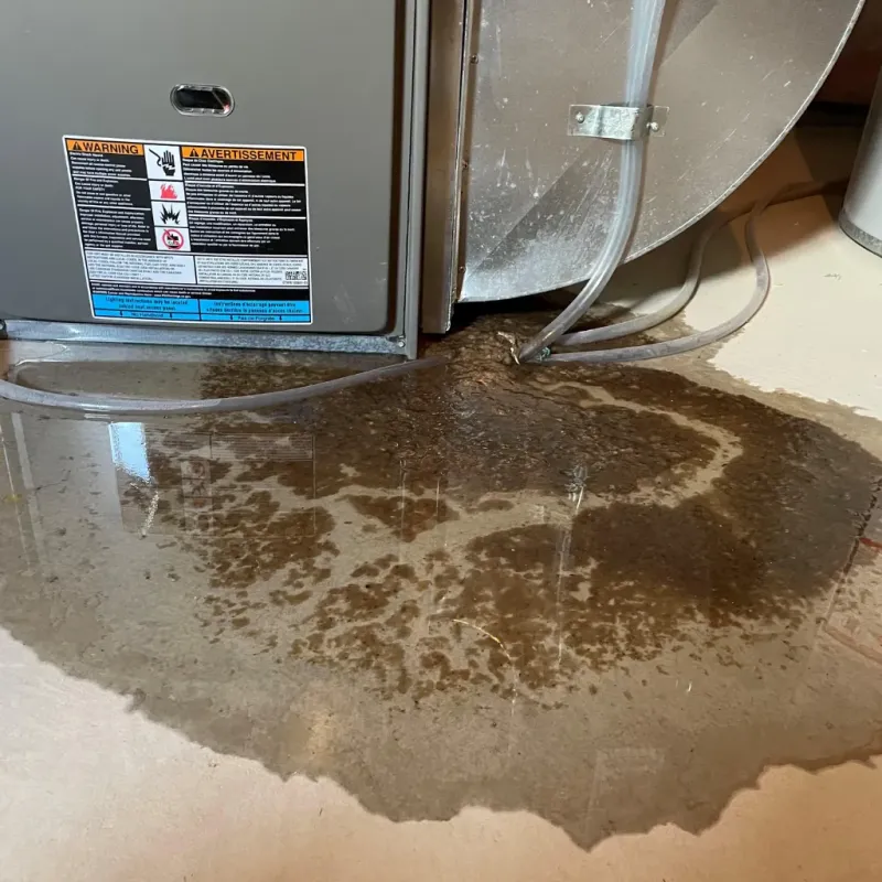 Appliance Leak Cleanup in Glasgow, DE